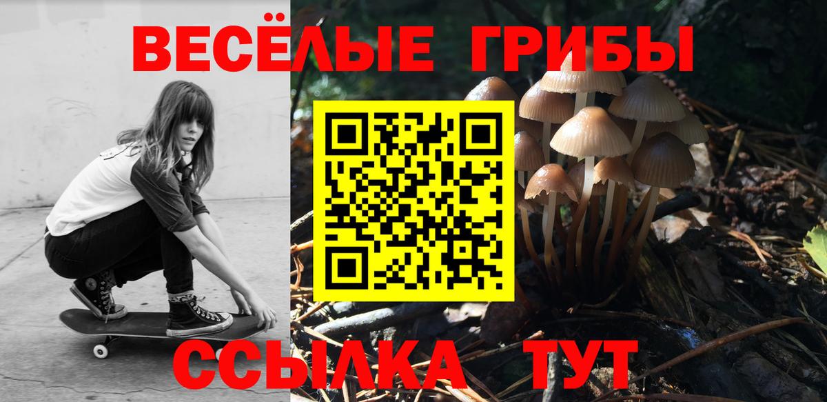 Галлюциногенные грибы прущие грибы  Вход с VPN  Бор  Псилоцибиновые грибы Cubensis 